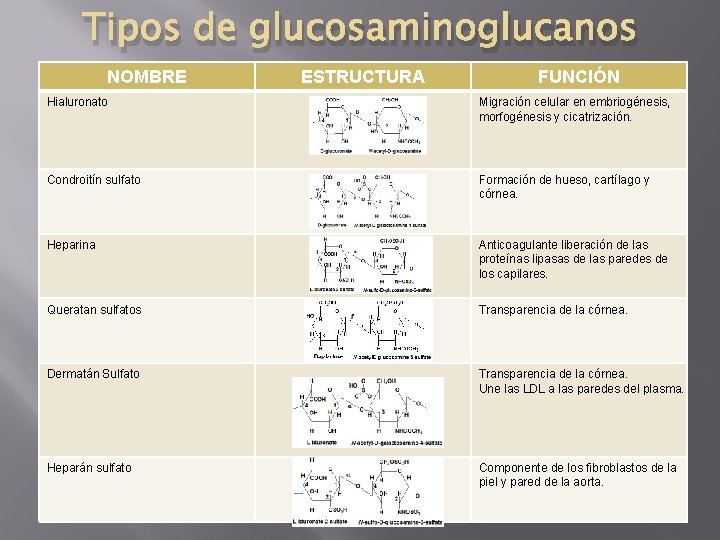 Tipos de glucosaminoglucanos NOMBRE ESTRUCTURA FUNCIÓN Hialuronato Migración celular en embriogénesis, morfogénesis y cicatrización.