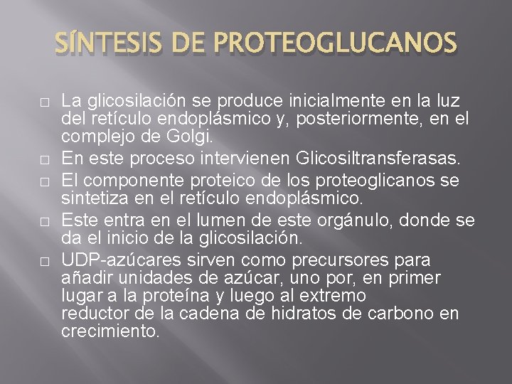 SÍNTESIS DE PROTEOGLUCANOS � � � La glicosilación se produce inicialmente en la luz