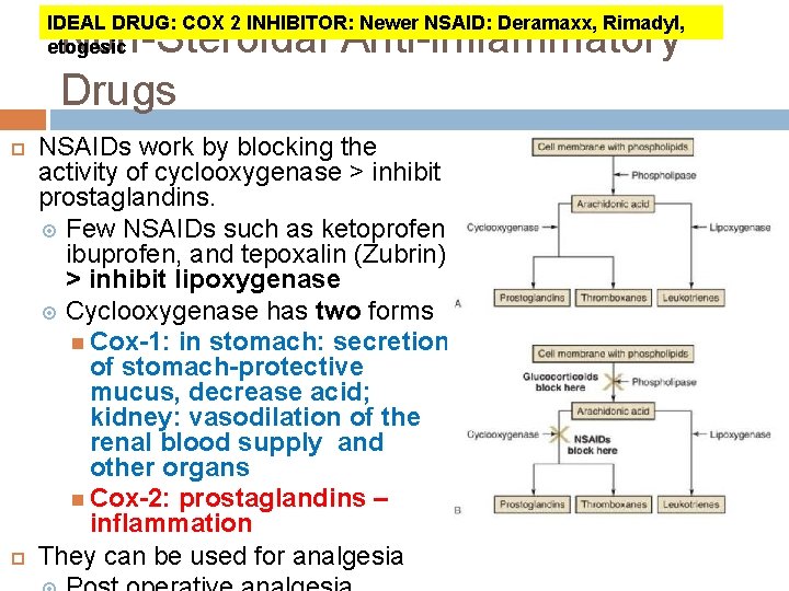 IDEAL DRUG: COX 2 INHIBITOR: Newer NSAID: Deramaxx, Rimadyl, etogesic Non-Steroidal Anti-inflammatory Drugs NSAIDs