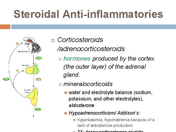 Steroidal Anti-inflammatories Corticosteroids /adrenocorticosteroids hormones produced by the cortex (the outer layer) of the