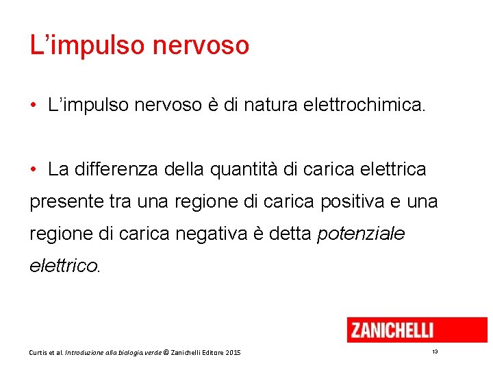 L’impulso nervoso • L’impulso nervoso è di natura elettrochimica. • La differenza della quantità
