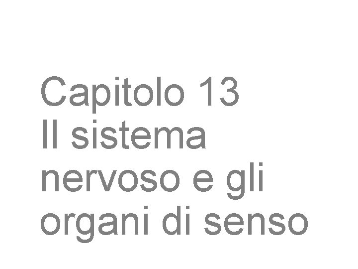 Capitolo 13 Il sistema nervoso e gli organi di senso 