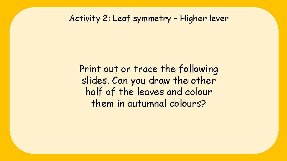 Activity 2: Leaf symmetry – Higher lever Print out or trace the following slides.