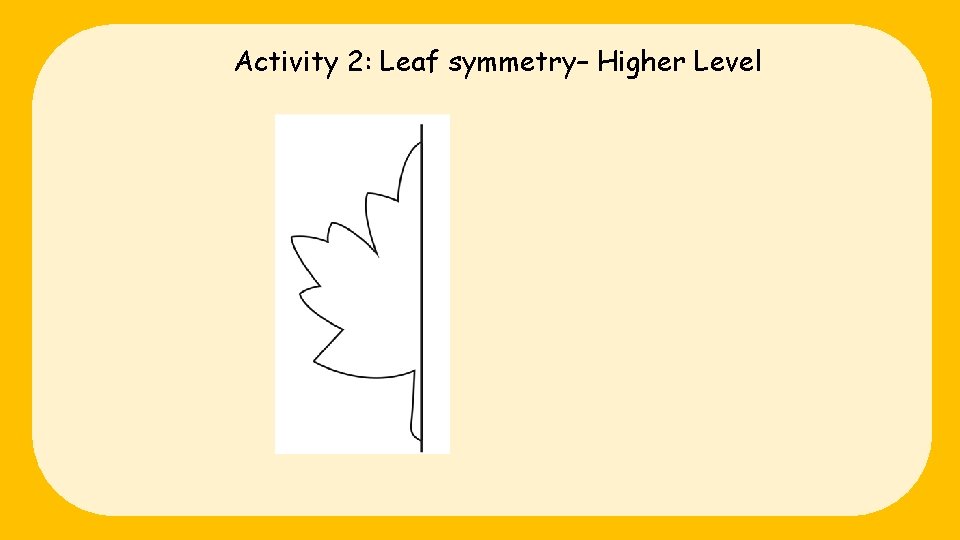 Activity 2: Leaf symmetry– Higher Level 