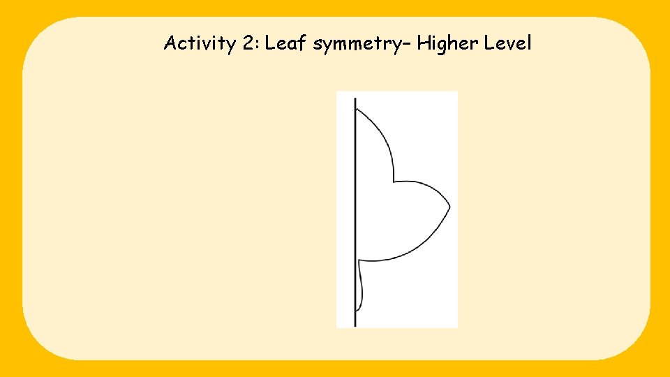 Activity 2: Leaf symmetry– Higher Level 
