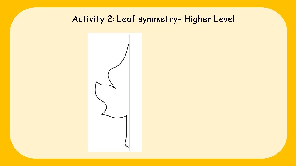 Activity 2: Leaf symmetry– Higher Level 