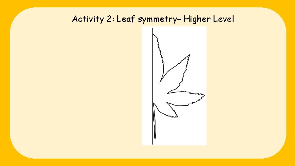 Activity 2: Leaf symmetry– Higher Level 