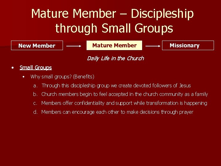 Mature Member – Discipleship through Small Groups New Member Mature Member Missionary Daily Life