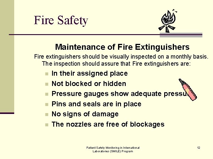 Fire Safety Maintenance of Fire Extinguishers Fire extinguishers should be visually inspected on a