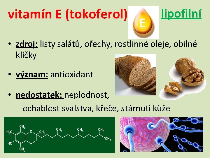 vitamín E (tokoferol) lipofilní • zdroj: listy salátů, ořechy, rostlinné oleje, obilné klíčky •