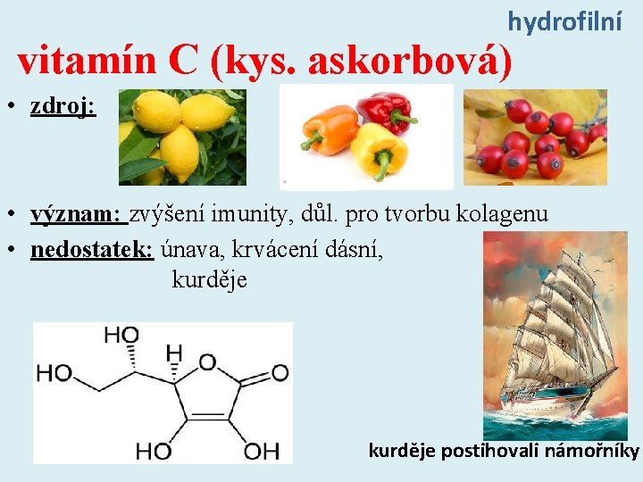 hydrofilní vitamín C (kys. askorbová) • zdroj: • význam: zvýšení imunity, důl. pro tvorbu