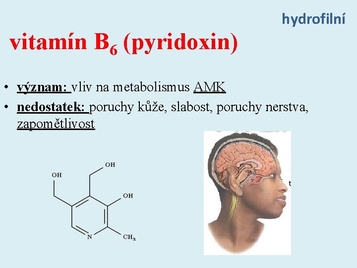 vitamín B 6 (pyridoxin) hydrofilní • význam: vliv na metabolismus AMK • nedostatek: poruchy