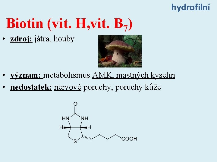 hydrofilní Biotin (vit. H, vit. B 7) • zdroj: játra, houby • význam: metabolismus