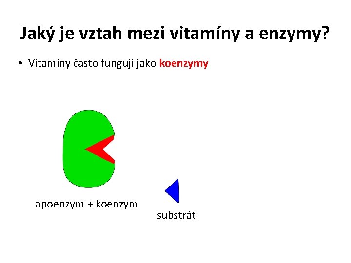 Jaký je vztah mezi vitamíny a enzymy? • Vitamíny často fungují jako koenzymy apoenzym
