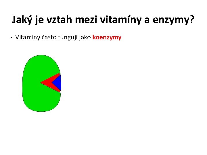 Jaký je vztah mezi vitamíny a enzymy? • Vitamíny často fungují jako koenzymy 