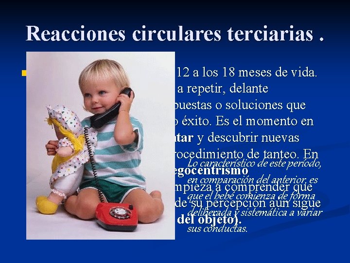 Reacciones circulares terciarias. n Este período va desde los 12 a los 18 meses