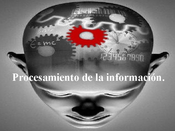 Procesamiento de la información. 