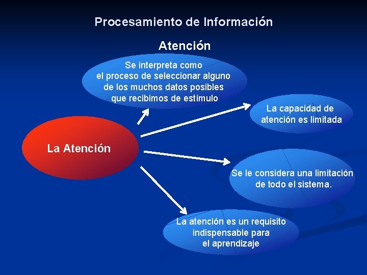 Procesamiento de Información Atención Se interpreta como el proceso de seleccionar alguno de los