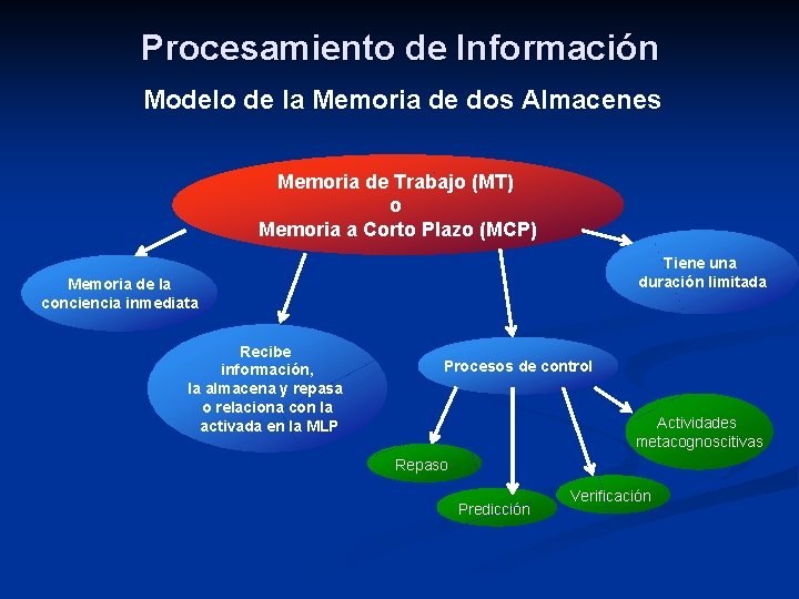 Procesamiento de Información Modelo de la Memoria de dos Almacenes Memoria de Trabajo (MT)