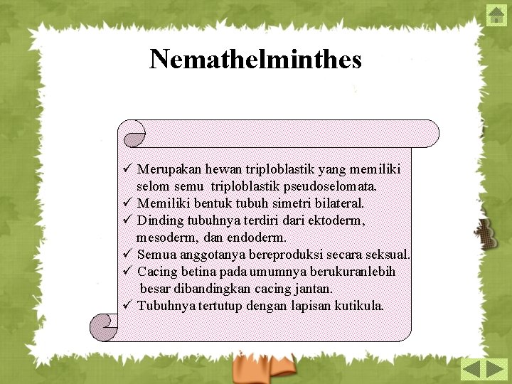 Nemathelminthes ü Merupakan hewan triploblastik yang memiliki selom semu triploblastik pseudoselomata. ü Memiliki bentuk