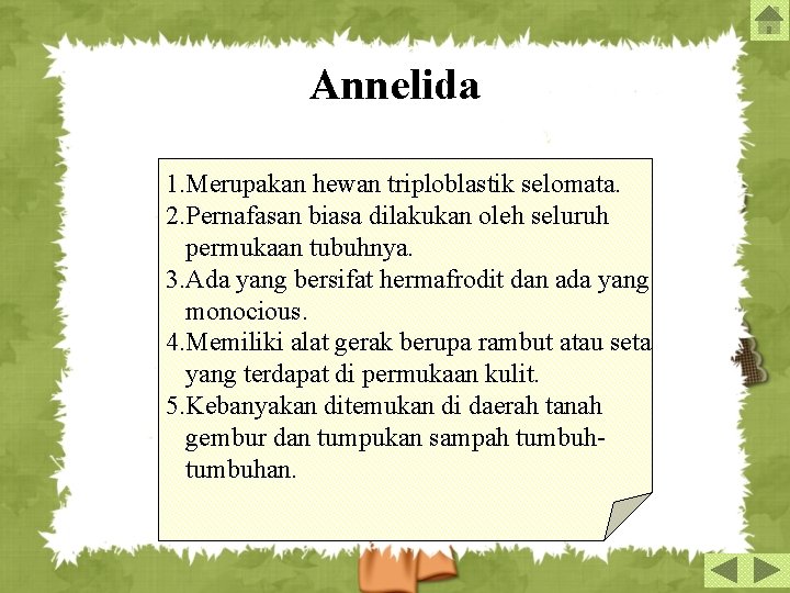 Annelida 1. Merupakan hewan triploblastik selomata. 2. Pernafasan biasa dilakukan oleh seluruh permukaan tubuhnya.