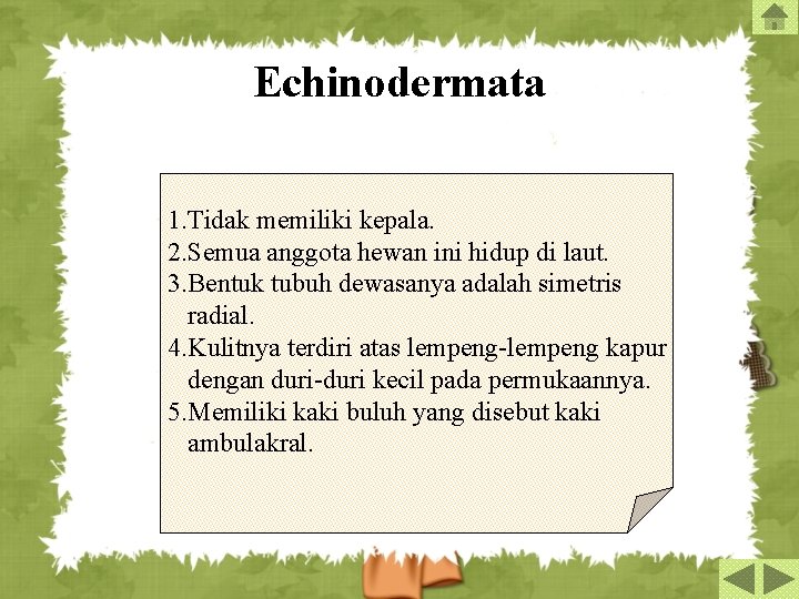 Echinodermata 1. Tidak memiliki kepala. 2. Semua anggota hewan ini hidup di laut. 3.