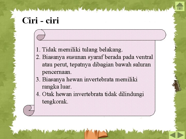 Ciri - ciri 1. Tidak memiliki tulang belakang. 2. Biasanya susunan syaraf berada pada