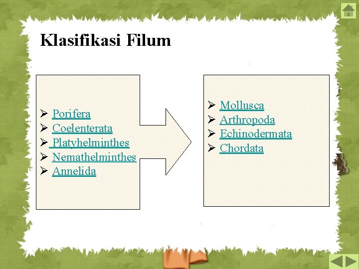 Klasifikasi Filum Ø Porifera Ø Coelenterata Ø Platyhelminthes Ø Nemathelminthes Ø Annelida Ø Mollusca