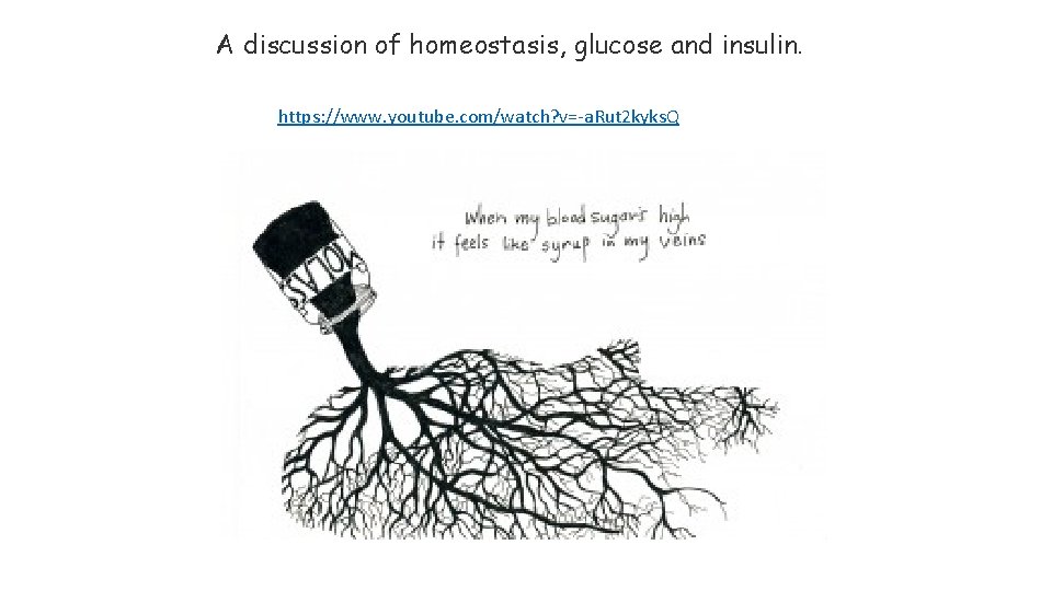 A discussion of homeostasis, glucose and insulin. https: //www. youtube. com/watch? v=-a. Rut 2