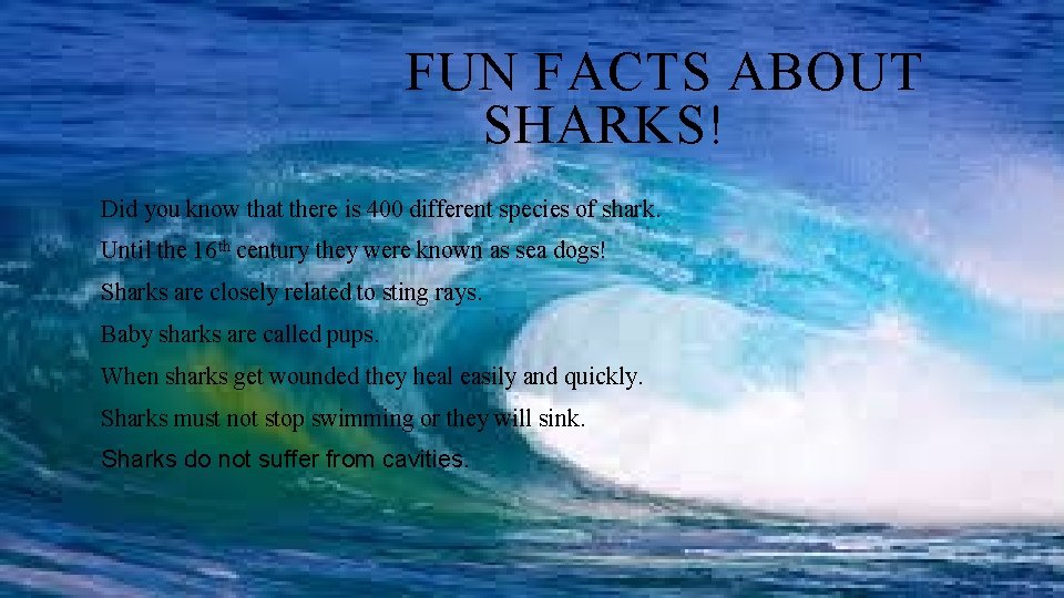 FUN FACTS ABOUT SHARKS! Did you know that there is 400 different species of