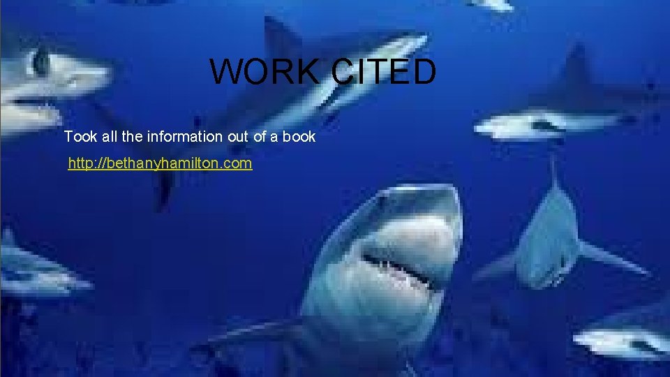 WORK CITED Took all the information out of a book http: //bethanyhamilton. com 