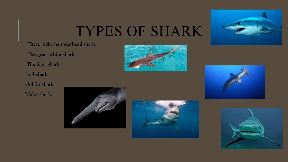 TYPES OF SHARK There is the hammerhead shark The great white shark The tiger