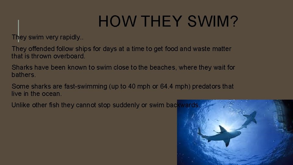 HOW THEY SWIM? They swim very rapidly. . They offended follow ships for days