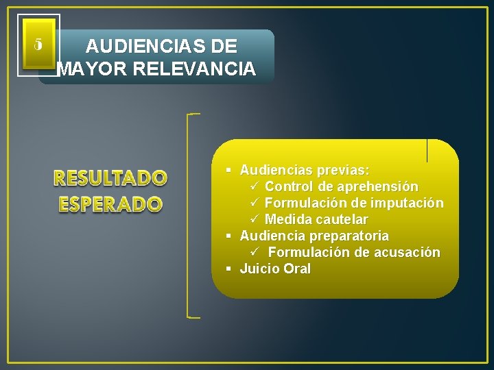  AUDIENCIAS DE MAYOR RELEVANCIA Las audiencias previas, § Audiencias previas: ü Control de