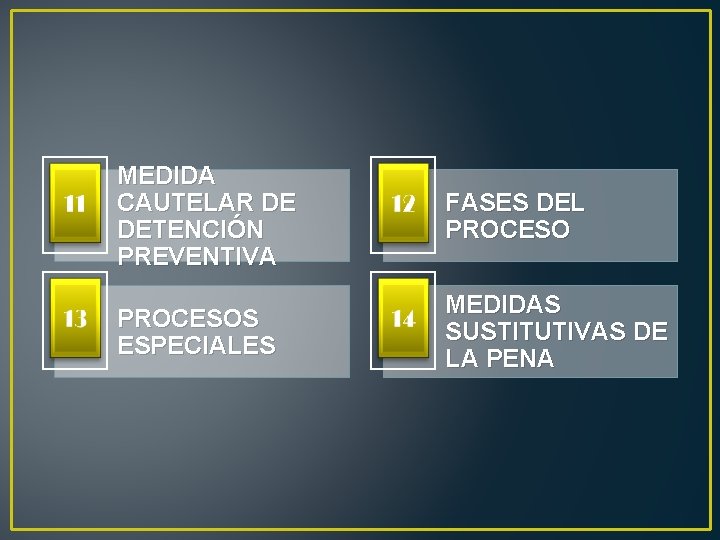 MEDIDA CAUTELAR DE DETENCIÓN PREVENTIVA FASES DEL PROCESOS ESPECIALES MEDIDAS SUSTITUTIVAS DE LA PENA