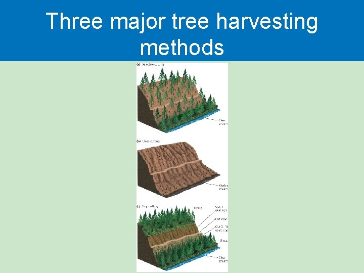 Three major tree harvesting methods 