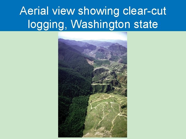 Aerial view showing clear-cut logging, Washington state 