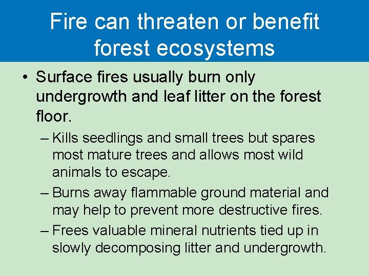 Fire can threaten or benefit forest ecosystems • Surface fires usually burn only undergrowth