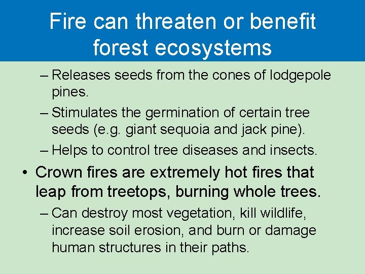 Fire can threaten or benefit forest ecosystems – Releases seeds from the cones of