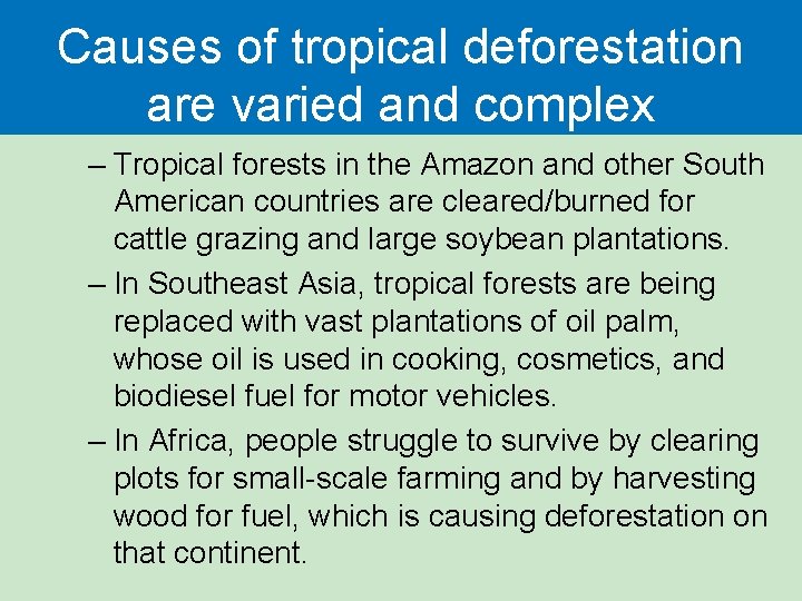 Causes of tropical deforestation are varied and complex – Tropical forests in the Amazon