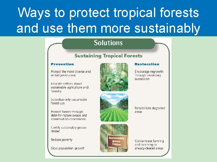 Ways to protect tropical forests and use them more sustainably 
