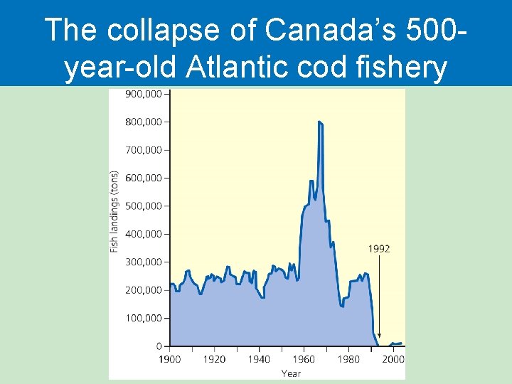 The collapse of Canada’s 500 year-old Atlantic cod fishery 