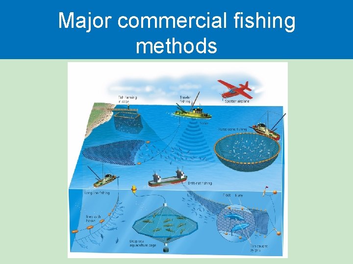 Major commercial fishing methods 