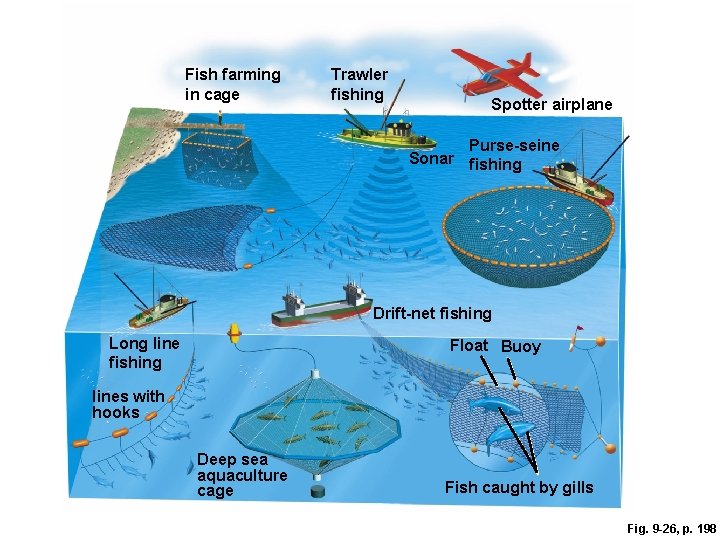 Fish farming in cage Trawler fishing Spotter airplane Purse-seine Sonar fishing Drift-net fishing Long