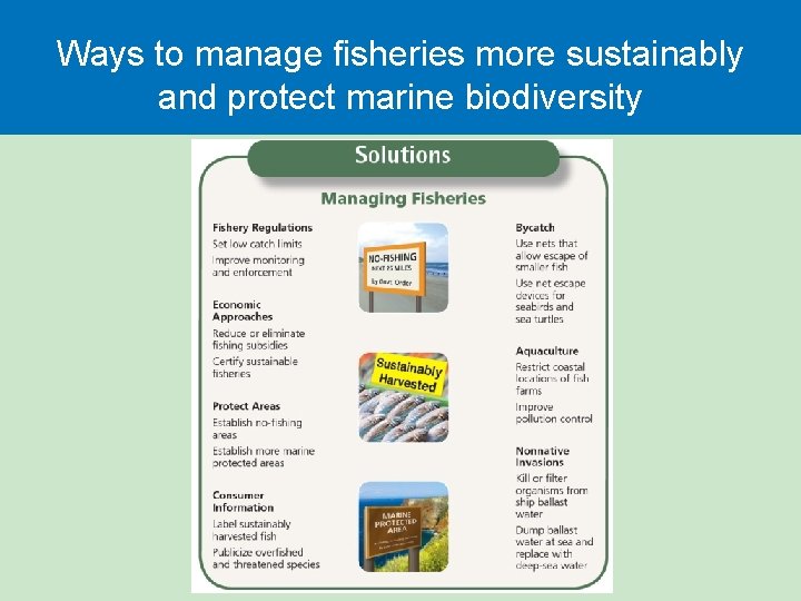 Ways to manage fisheries more sustainably and protect marine biodiversity 