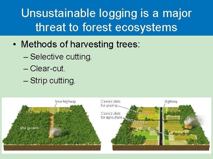 Unsustainable logging is a major threat to forest ecosystems • Methods of harvesting trees:
