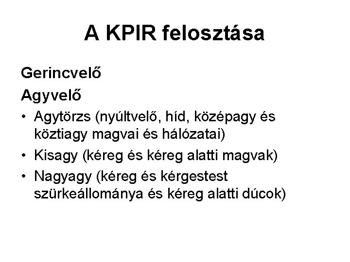 A KPIR felosztása Gerincvelő Agyvelő • Agytörzs (nyúltvelő, híd, középagy és köztiagy magvai és