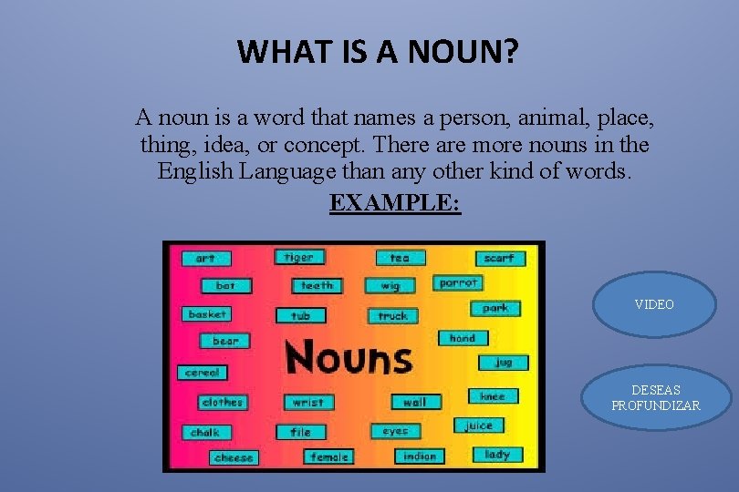 WHAT IS A NOUN? A noun is a word that names a person, animal,