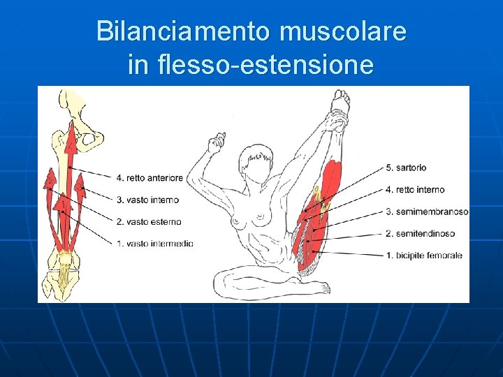 Bilanciamento muscolare in flesso-estensione 