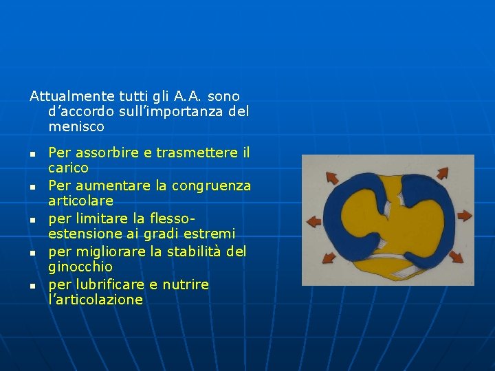 Attualmente tutti gli A. A. sono d’accordo sull’importanza del menisco n n n Per